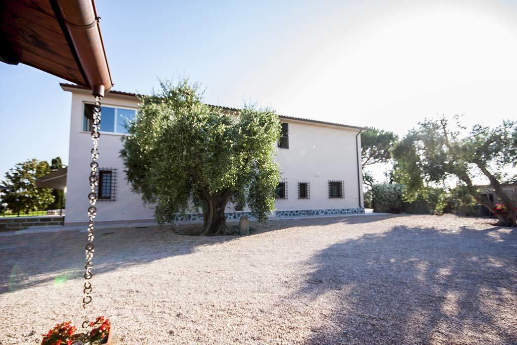 Agrimare I Pavoni Leilighet Montalto di Castro Eksteriør bilde